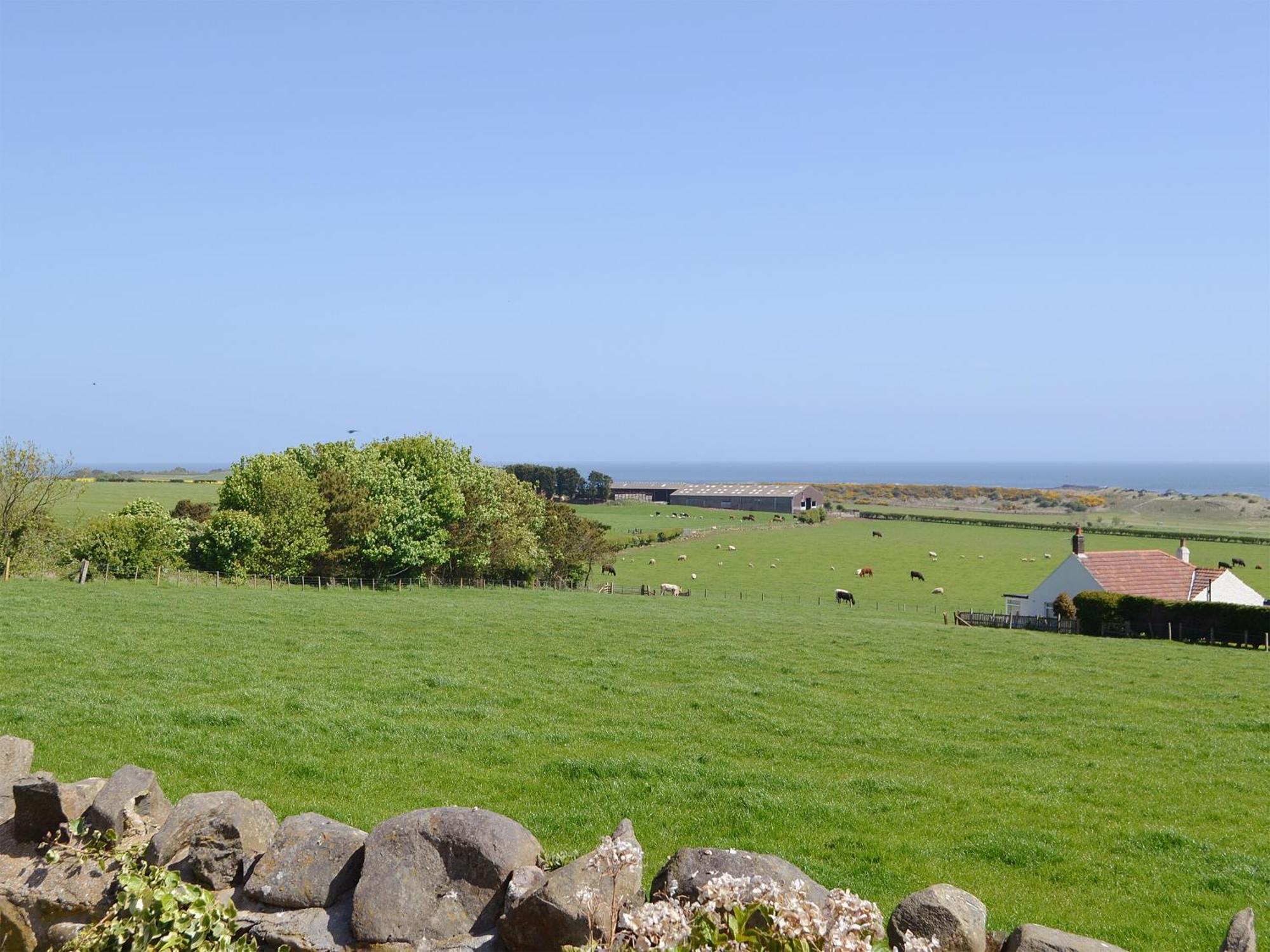 Eider Cottage Эмблтон Экстерьер фото